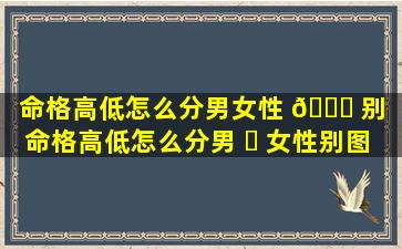 命格高低怎么分男女性 🐛 别「命格高低怎么分男 ☘ 女性别图片」